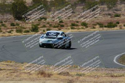 media/Apr-06-2025-Extreme Speed (Sun) [[ad1499d5ff]]/Green group/Turn 1/